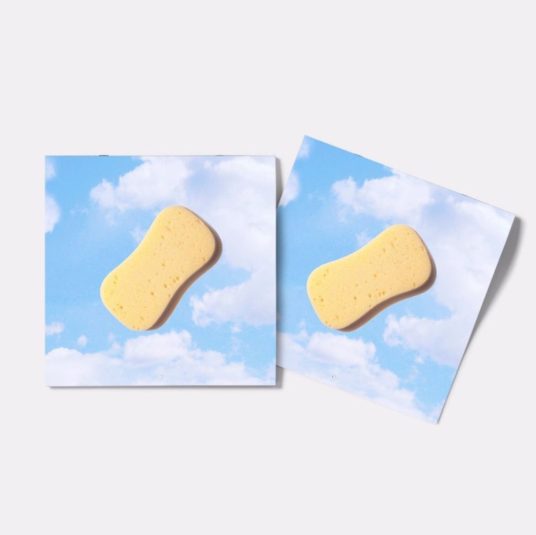 sponge-calendar-2016-147295