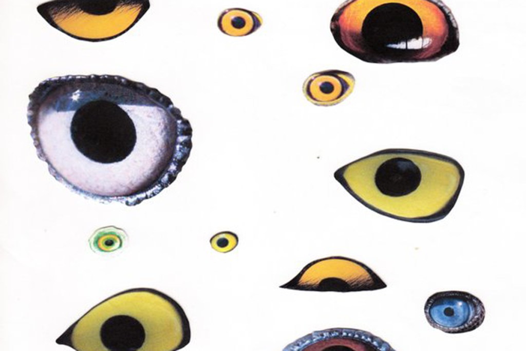 listenup_146_hero-147556