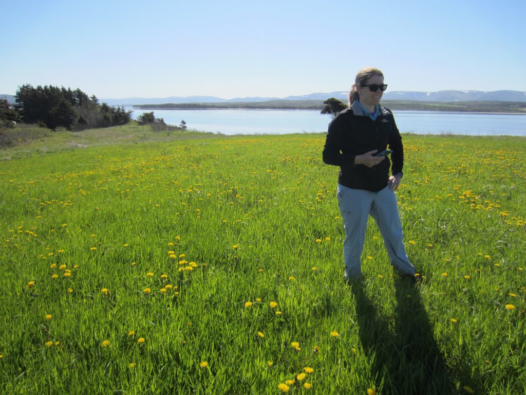 sarah-parcak-ted-prize-2016-148027