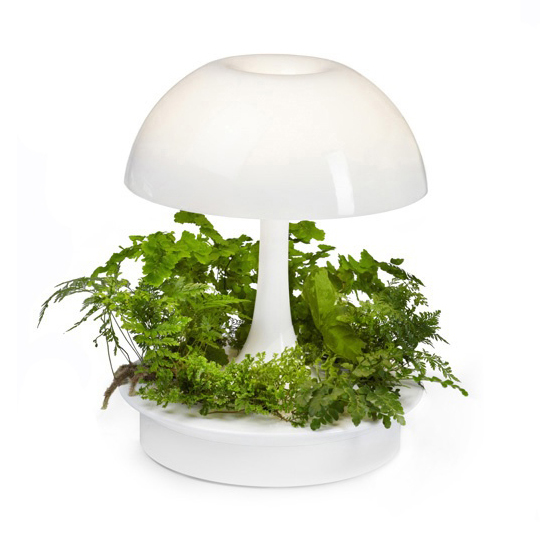 ambienta-plant-grow-light-lamp-sagegreenlife-147778