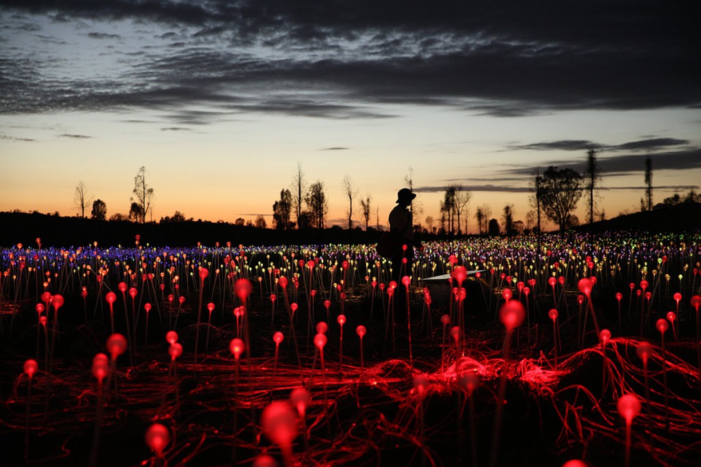 bruce-munro-field-of-light-6-148733