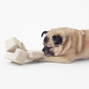 nendo-pet-toy-thumb-148464