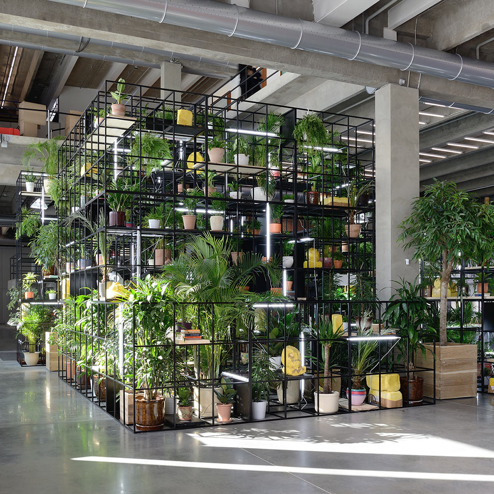 rashid-johnson-russia-thumb-148695