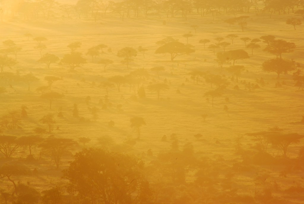 tanzania_elewana_accom_lead-149261