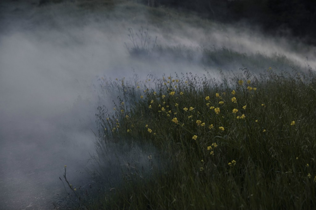 hanger1-fog-point-field-150035