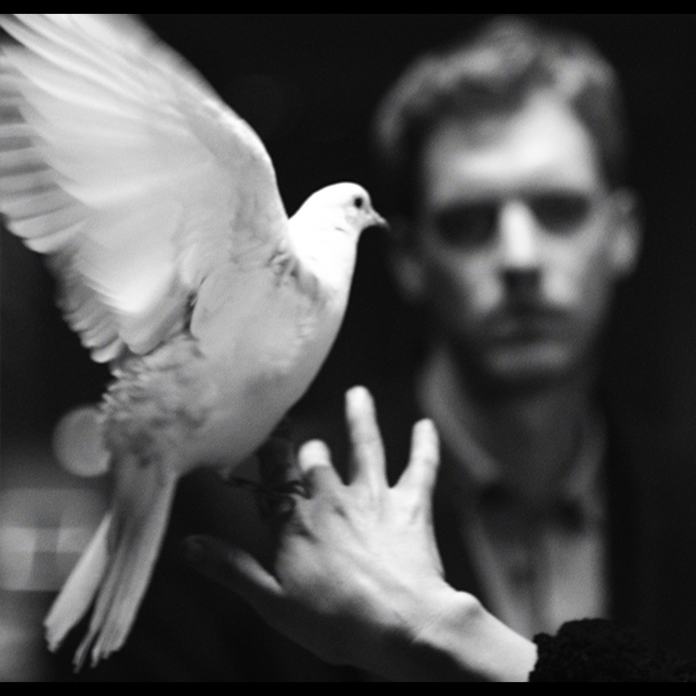 wahaus-good-lie-thumb-149820