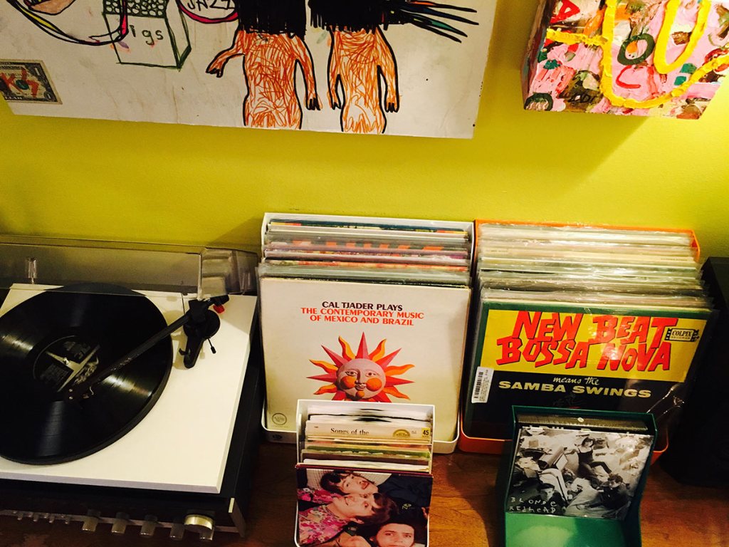 flipbin-vinyl-storage-149824