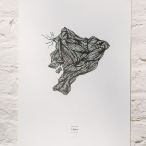 ecuador-earthquake-litho-01-150243