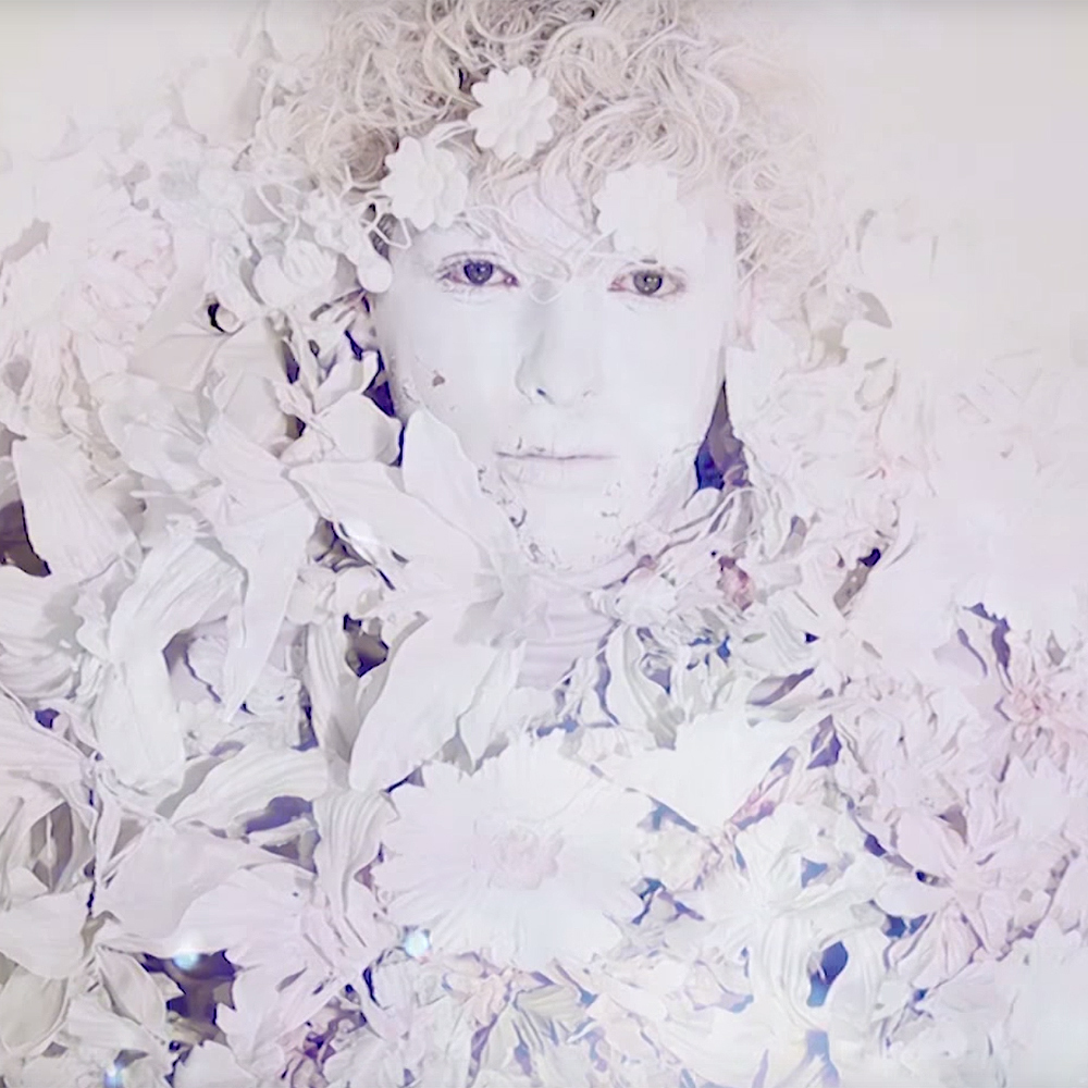 baby-alpaca-cant-find-my-way-149955