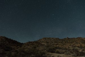 nikon-d500-joshua-tree-night-sky-stars-camera-photography-review-cool-hunting-149989