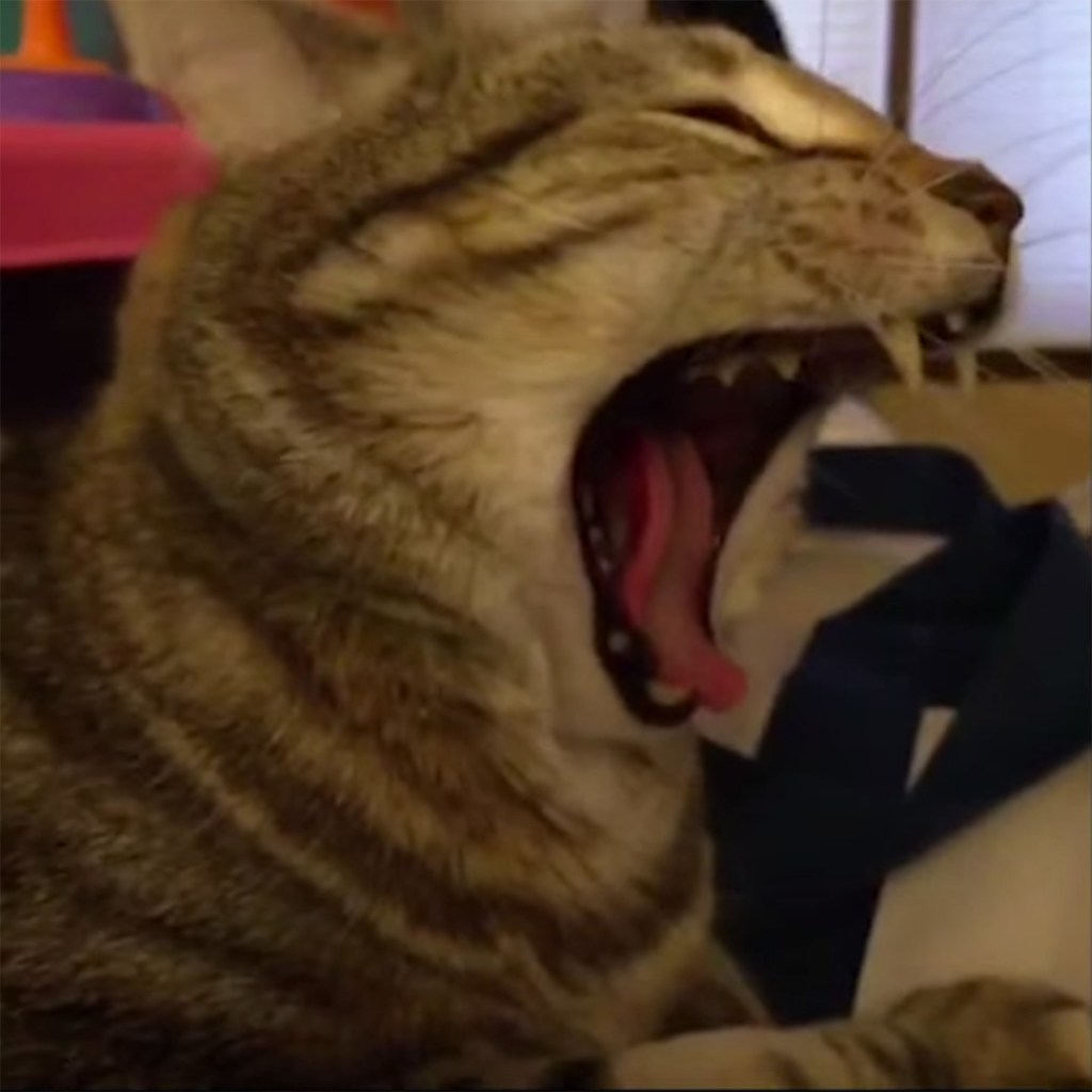 jim-e-deadstream-151131