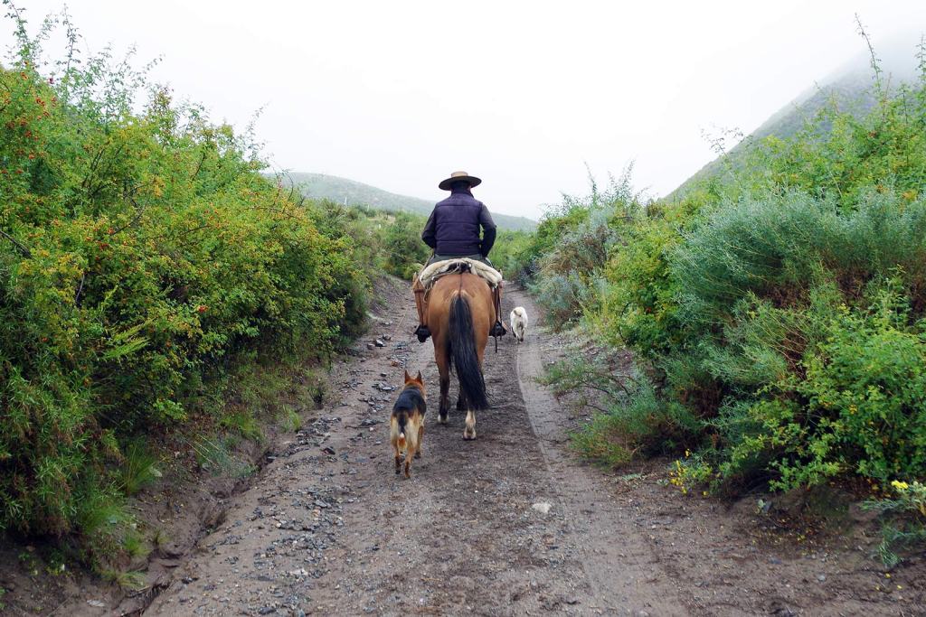 estancia-argentina-05-151685