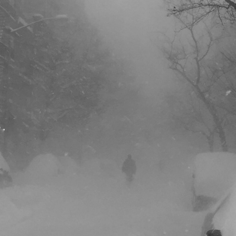 cashmere_cat_weeknd_wild_love-151916