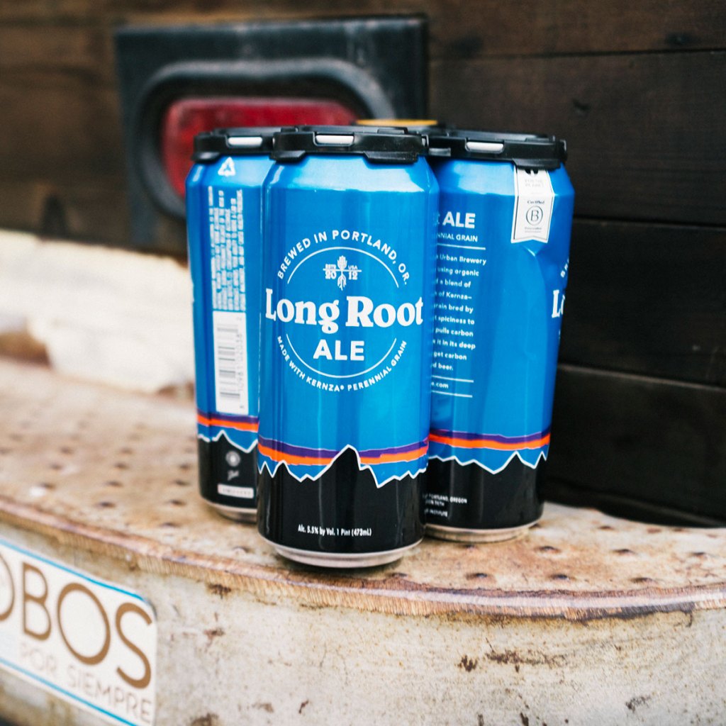 long-root-ale-pale-beer-patagonia-provisions-152441