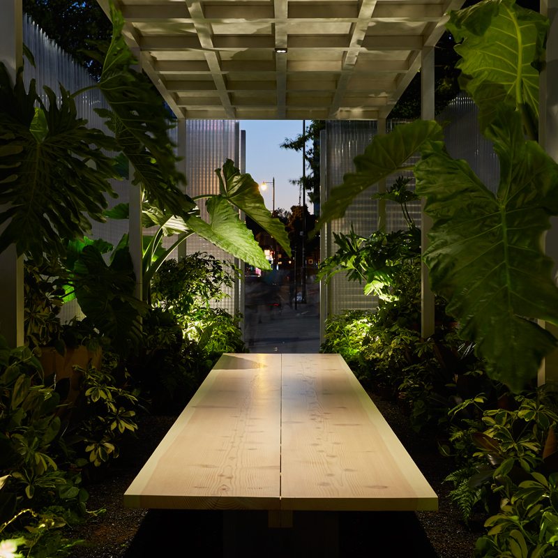 mini_living_forests_thumb-152192