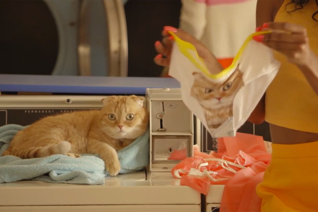 listen_up_181-152336