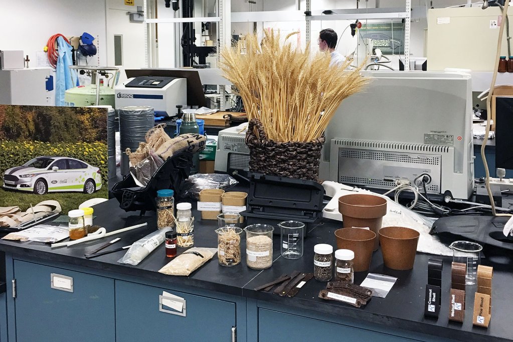 debbie-ford-sustainability-01-152826