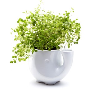 eleplanter-scott-henderson-152572