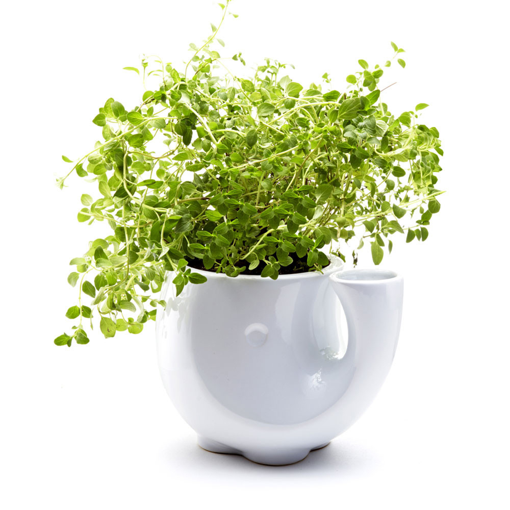 eleplanter-scott-henderson-152572