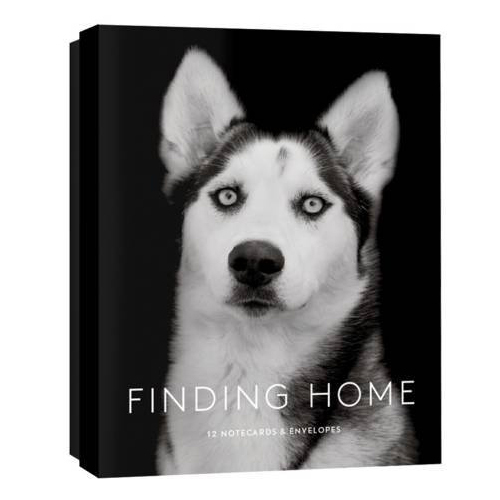 finding_home_dog_notecards-152472