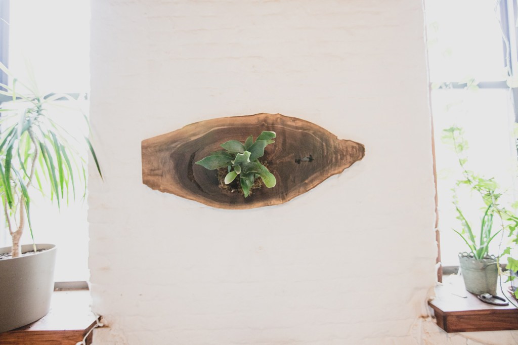 rocco-avallone-vivo-walls-planters-wooden-handmade-152497