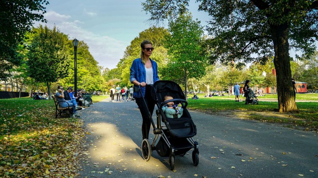 cybex_priam_07-153439