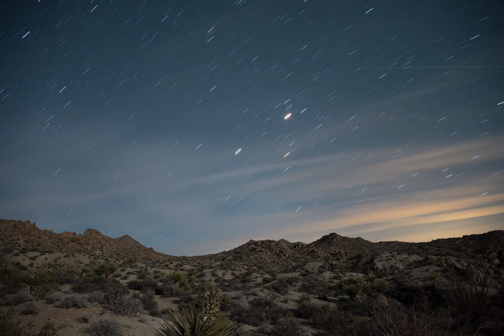 large_nikon-d500-joshua-tree-night-sky-153848