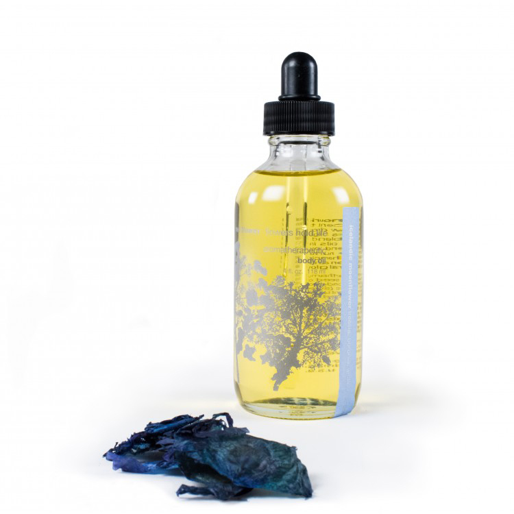 red-flower-icelandic-moonflower-154186