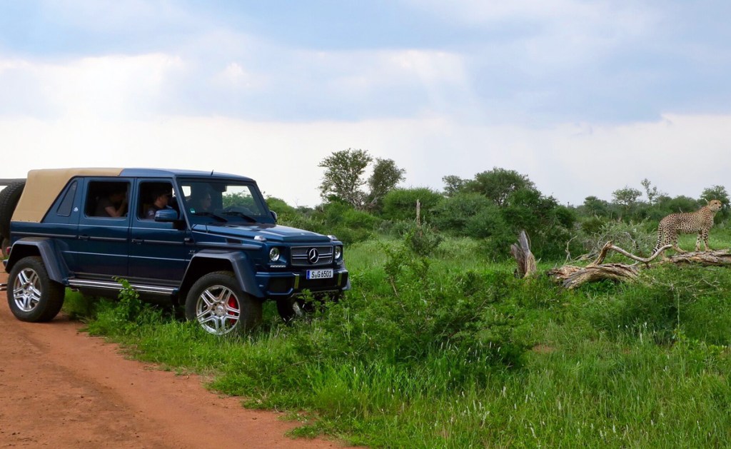 mercedes_maybach_g_650_landaulet_02-154574