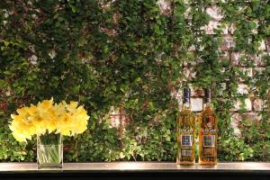 glen-grant-cocktails-all-seasons-155185