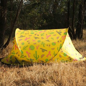 big_cactus_tent-154951