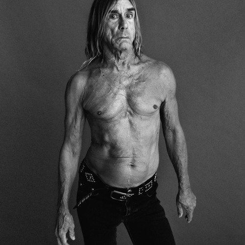 Listen to Iggy Pop's Cover of Sly & the Family Stone's 'Family Affair