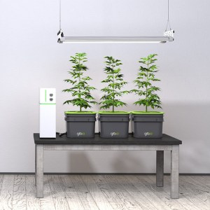 gro_io_system-155461