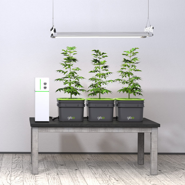 gro_io_system-155461