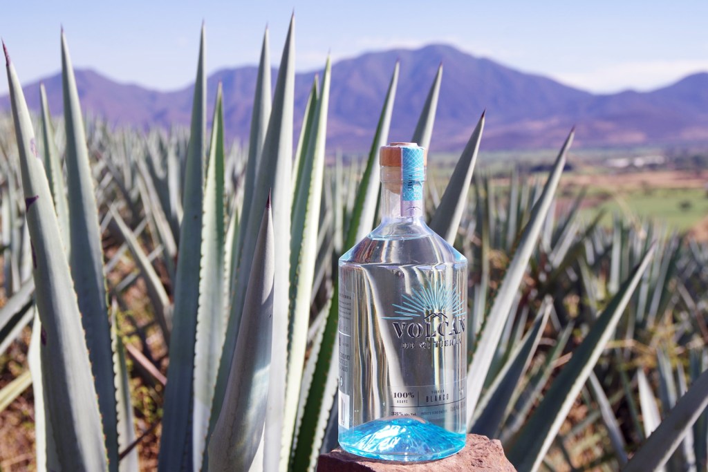 volcan-blanco-bottle-desert-155632