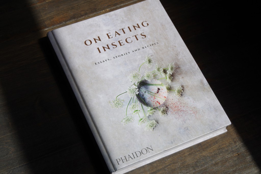 eating-insects-01-156306