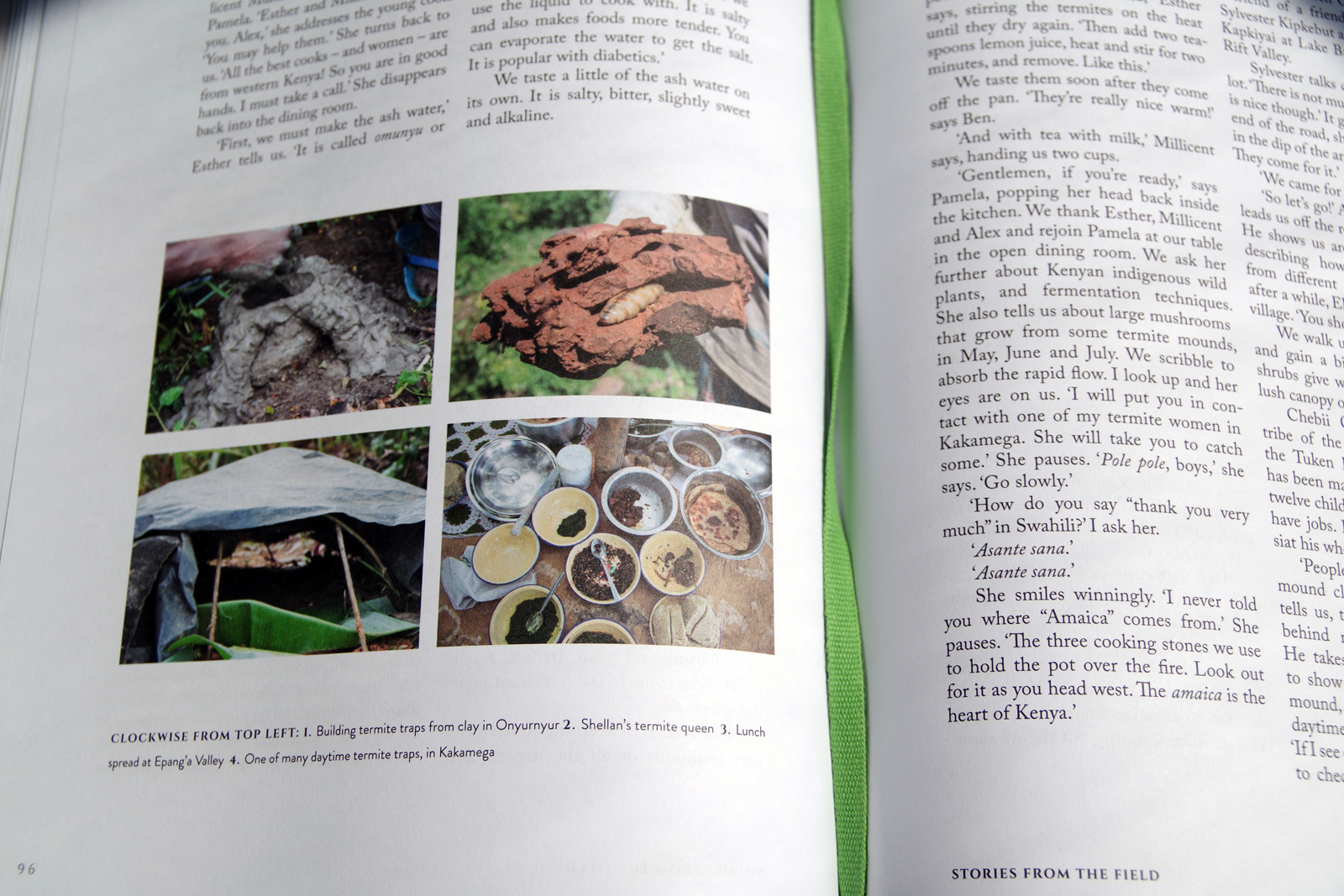 Phaidon’s “On Eating Insects” Guide + Matching Snacky Tunes’ Playlist ...