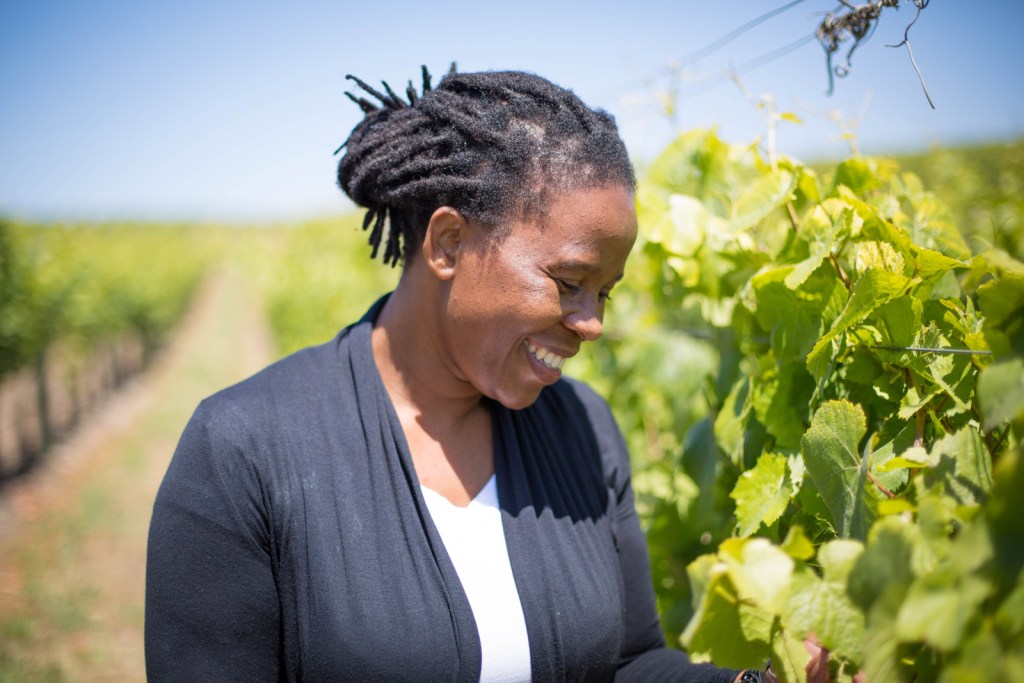 ntsiki-biyela-vines-1-156401