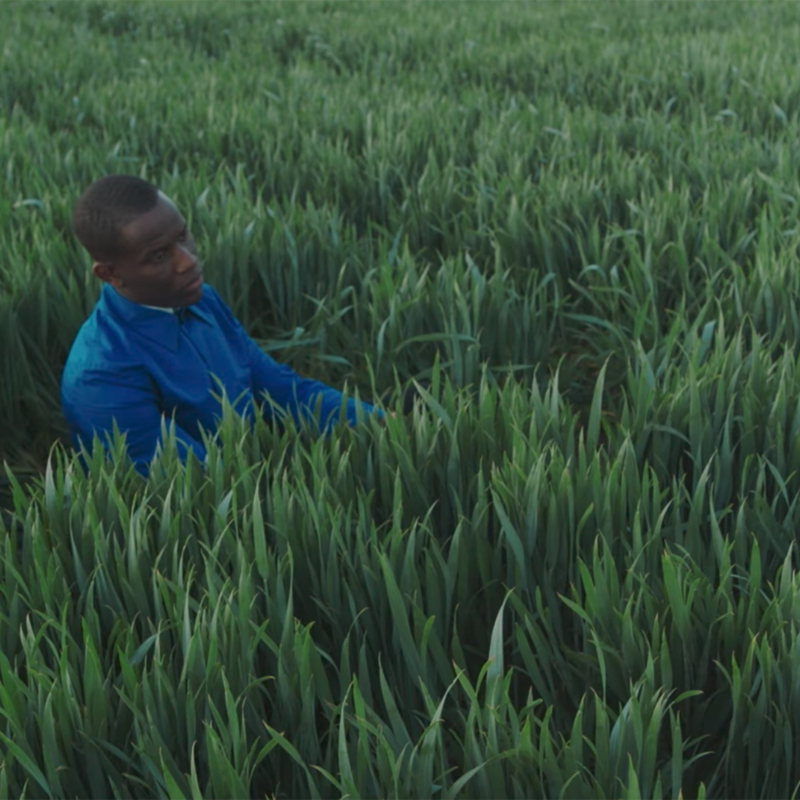 love_ssega_crazy_deluded-156805