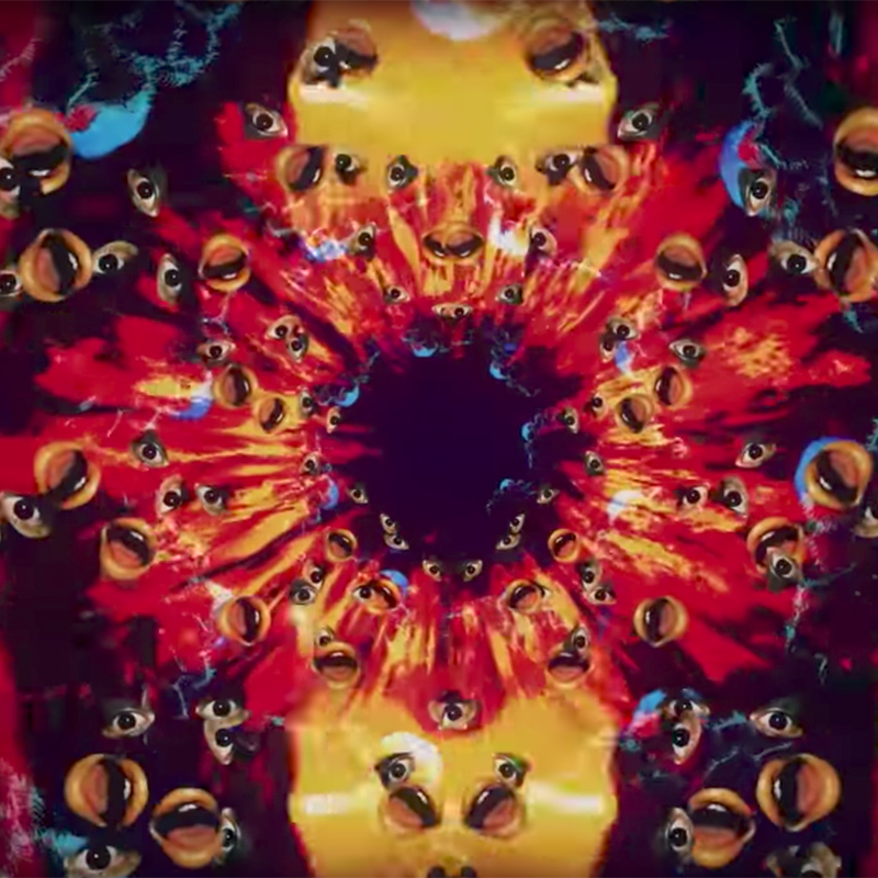 pnau_into_the_sky-157144