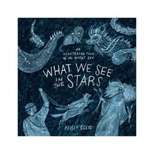 what_we_see_stars_book-157681
