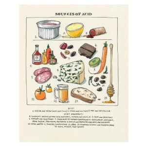 salt-fat-acid-heat-cookbook-158008