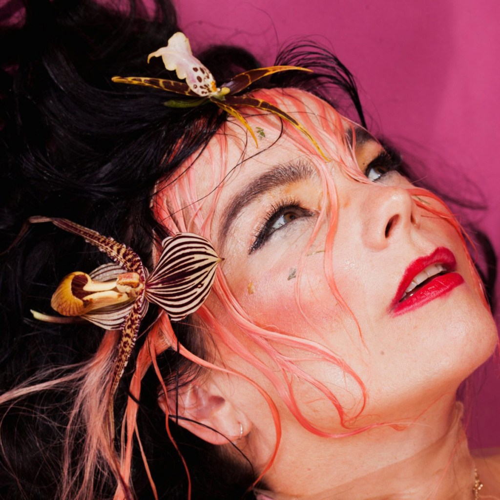 bjork-mix-mag-hero-158239