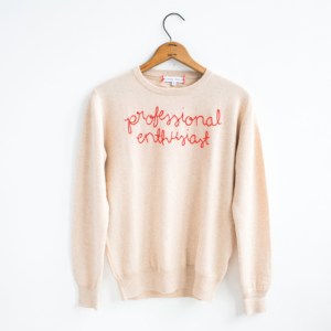 professional_enthusiast_sweater-158580