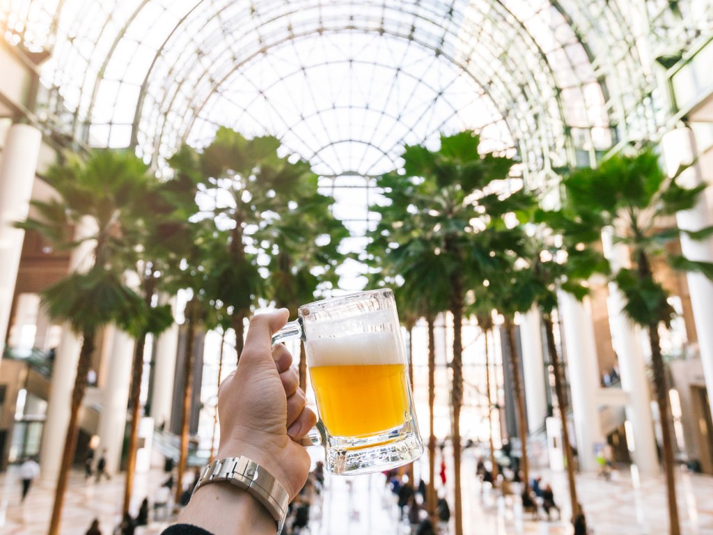 beer-in-winter-garden-159587