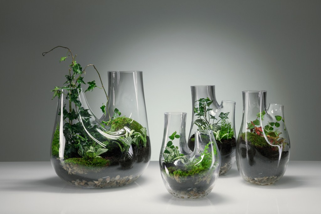 tom-dixon-plant-family-terrarium_main-159300