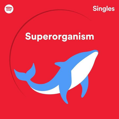 superorganism_havana-159971