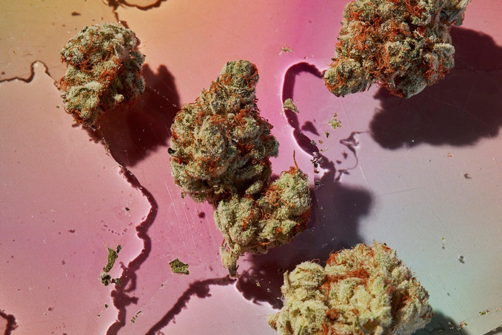 420_2018_gift_guide_hero-160276