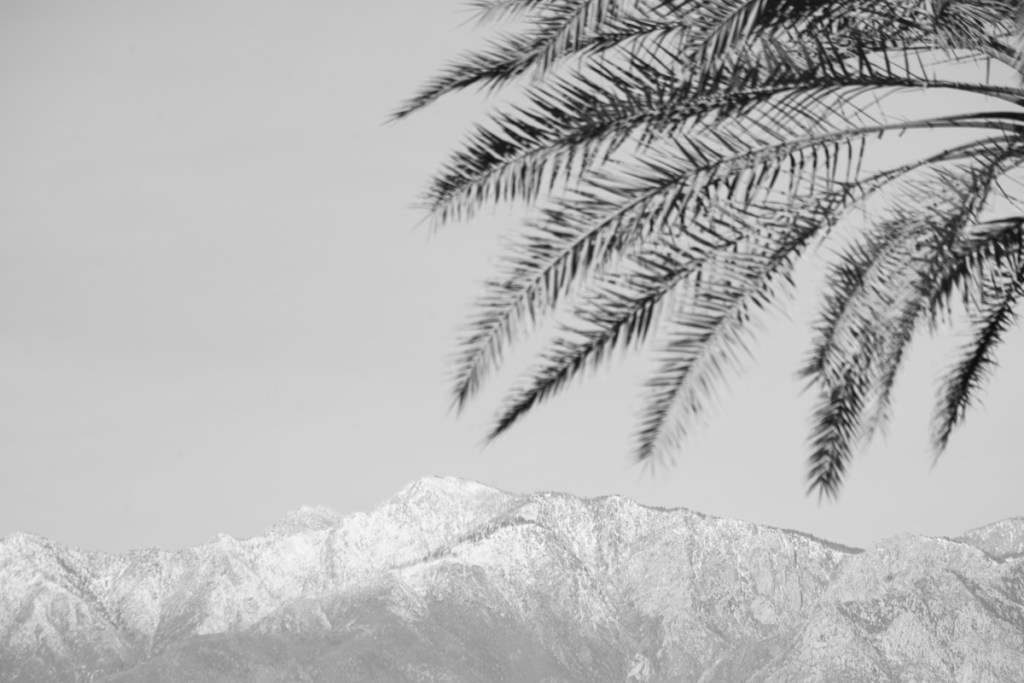 wom_coach_hero-160297