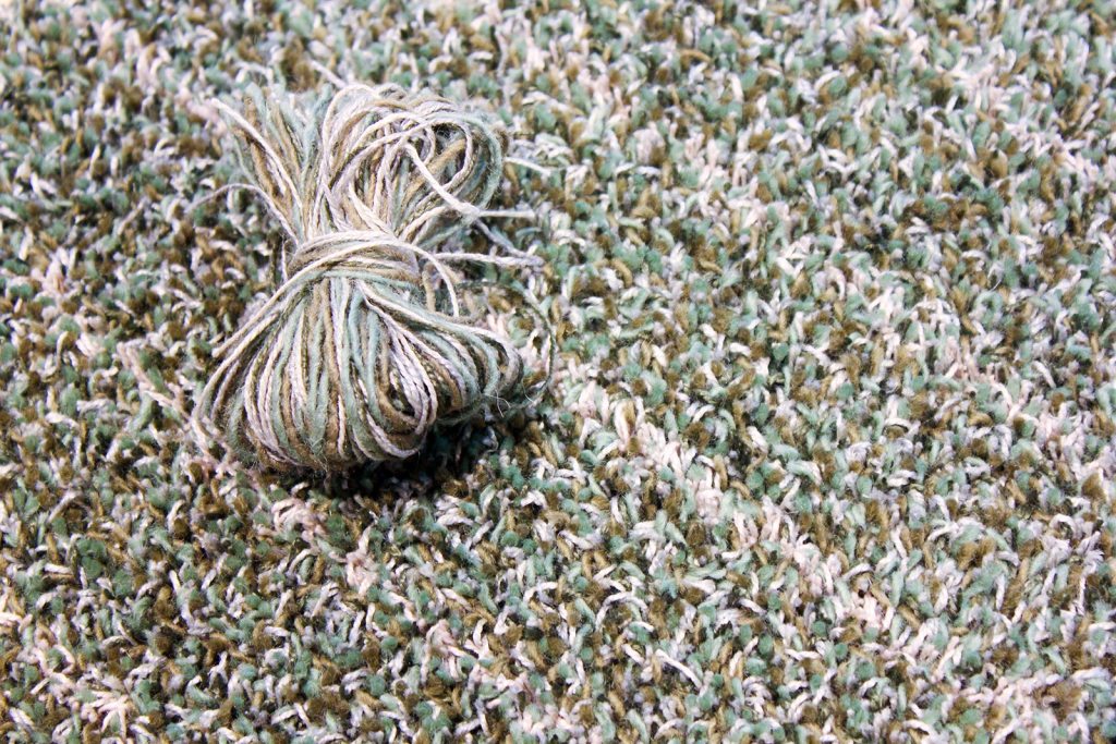 katshall-crawford-01-160402